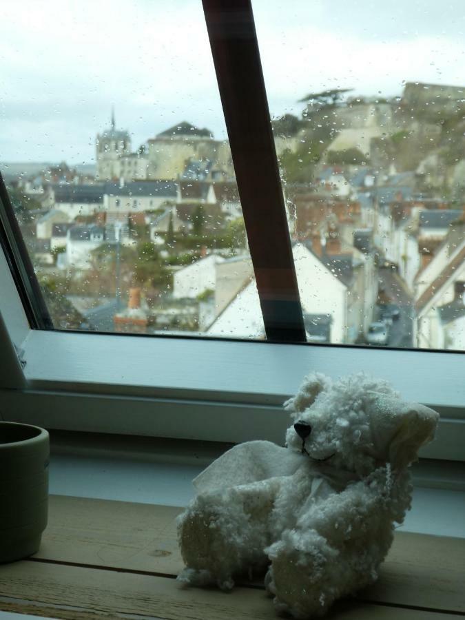 Le Balcon De Leonard Villa Amboise Dış mekan fotoğraf